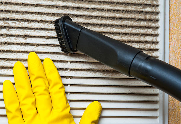 Best Residential Air Duct Cleaning  in Brownsville, LA